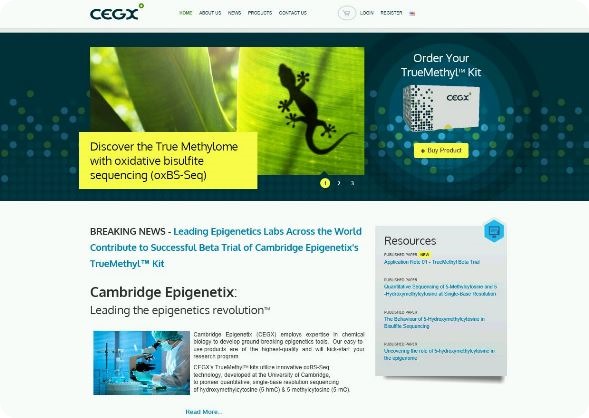 Cambridge Epigenetix Cambridge Epigenetix