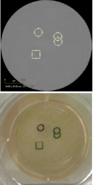 Digitally and physically mark the vessel