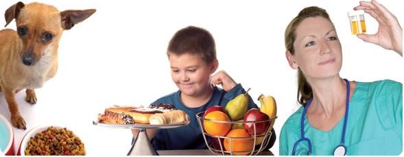 Typical application fields for the determination of amino acid contents: food, feedstuff, and health care industry.