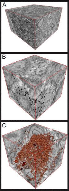 Raw data displayed with the 3D visualization tool