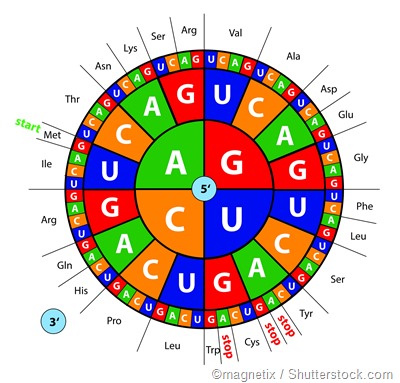 codon wheel