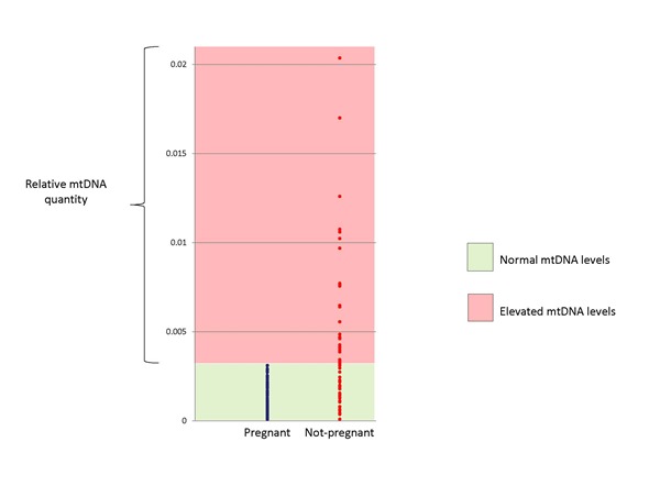 mtDNA analysis figure