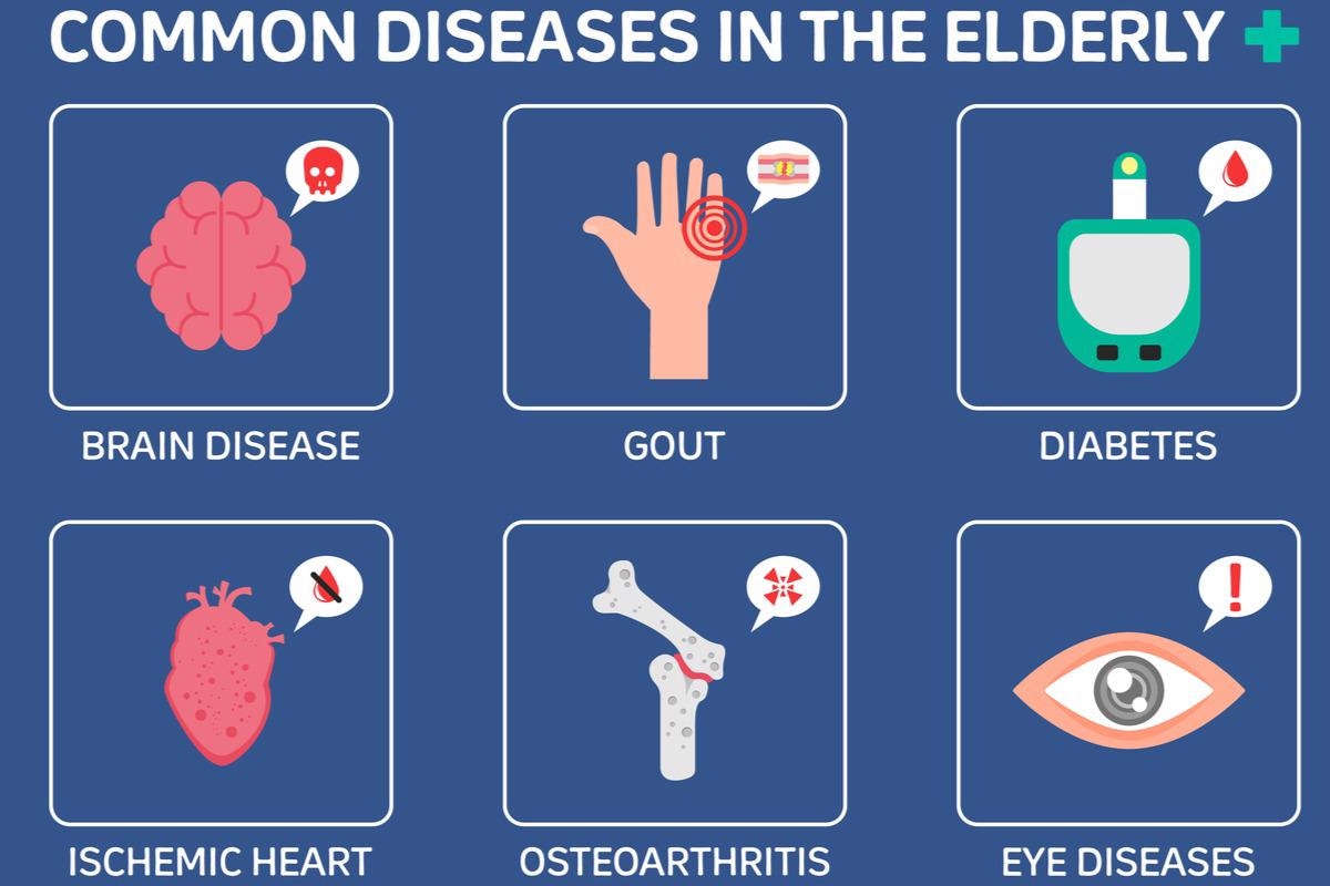 Image Credit: Health Care Vector Life/Shutterstock