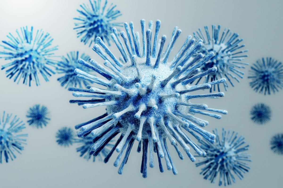 Image Credit: Jezper/Shutterstock.com