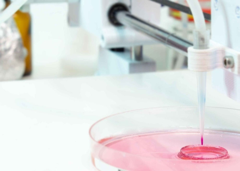 Image Credit: luchschenF/Shutterstock.com