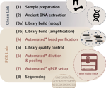 Semi-automated purification of NGS libraries