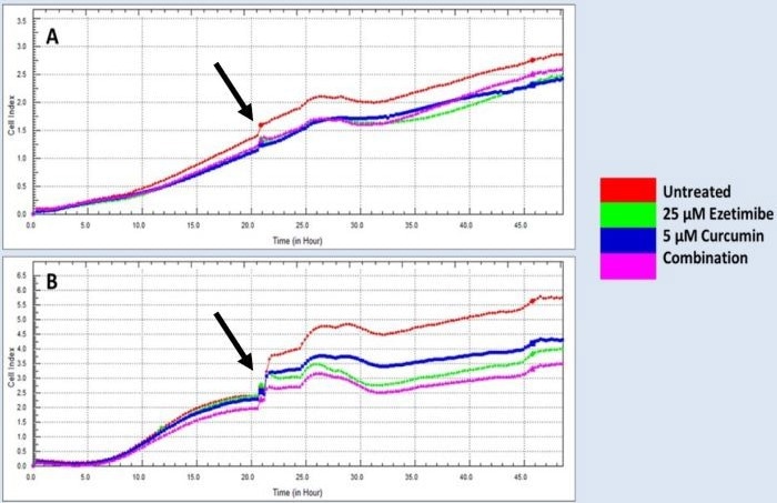 Real-time cell proliferation analysis of human colorectal cancer cells lines treated with Ezetimibe and Curcumin. A) HT-29 cell line with the cell index not affected by the single and combination treatments. B) SW620 cell line with the cell index not affected by the single and combination treatments. Arrow indicated addition of drug treatments