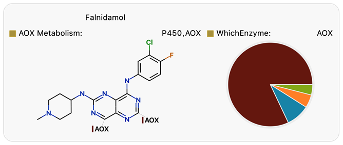 WhichEnzyme model results for Falnidamol indicate thatAOX is likely to be an important route of metabolism