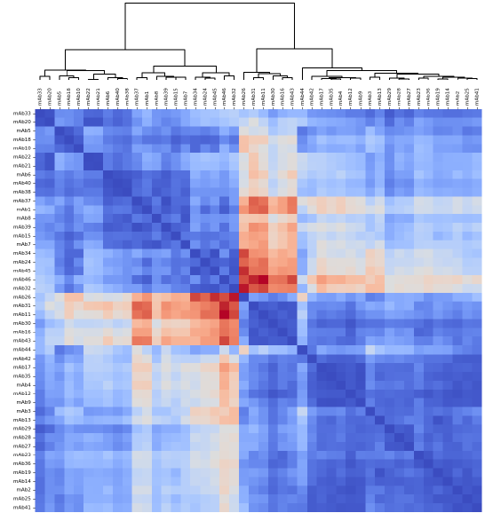 A heat map of the Pearson’s correlation coefficient values for all antibodies, sorted by similarity to identify clustering patterns. Dark blue colouration indicates a high degree of correlation in binding between antibody pairings (>90 %), suggesting the antibodies compete for the same binding sites on the antigen. Dark red colouration indicates a low degree of correlation in binding between antibody pairings (<10 %), suggesting the antibodies do not compete and therefore bind to alternative sites. Antibodies that share similar correlation values across the panel are likely to be sorted into the same epitope bin.