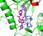 HIV-1 gp120 sensitivity linked to temsavir binding on-rate