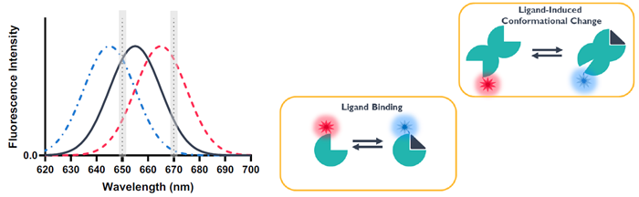 Using spectral shift in drug discovery projects