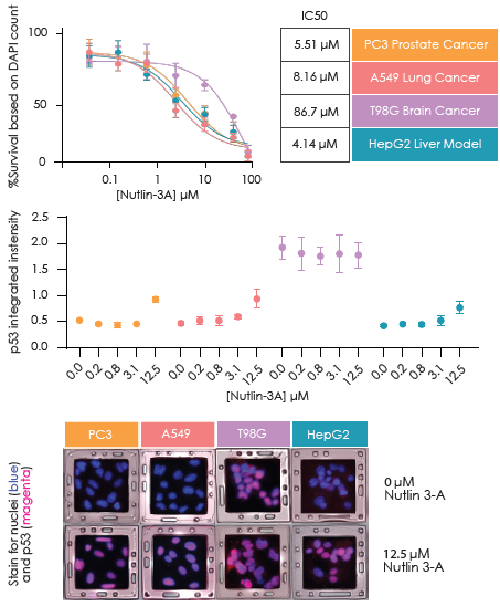 Enhancing high content imaging with SemaCyte microcarriers for multiplex assays