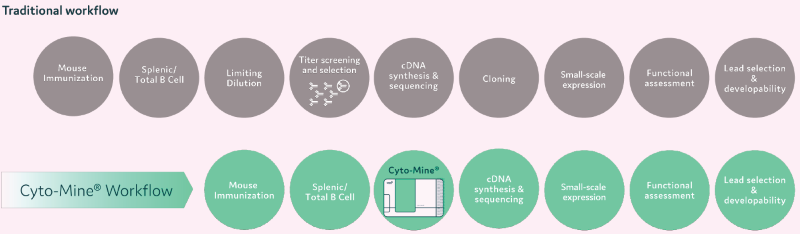 Antibody discovery workflow using Cyto-Mine®