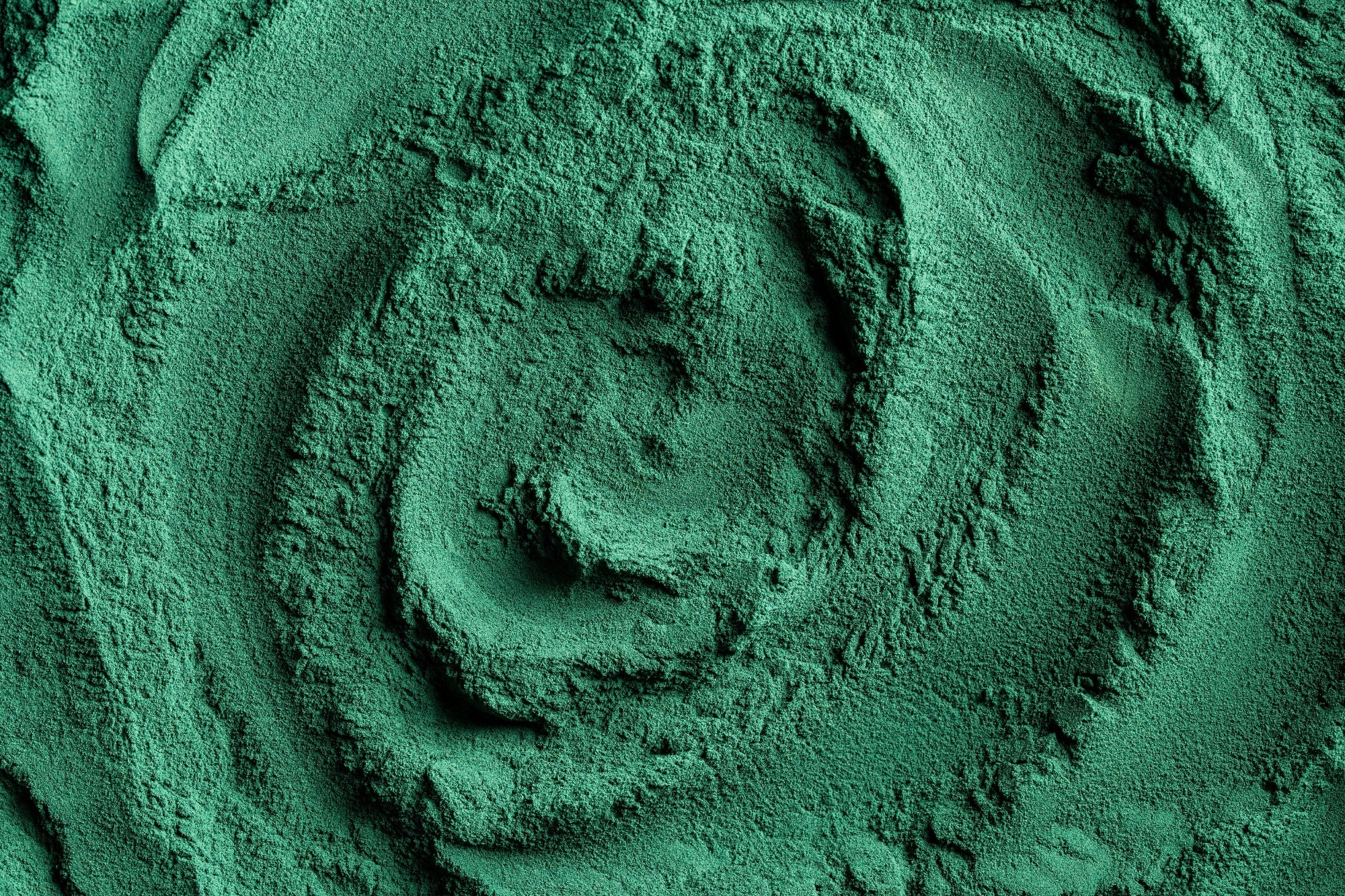 Spirulina, dried biomass derived from cyanobacteria (commonly known as blue-green algae), Arthrospira platensis, Arthrospira fusiformis, and Arthrospira maxima are the main species. Image Credit: OlegD / Shutterstock.com