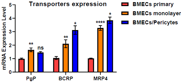 Co-culturing endothelial cells and pericytes to assess drug BBB penetration