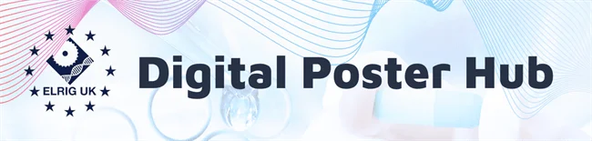 Rapid identification and optimization of a brain-active PROTAC for GSK3