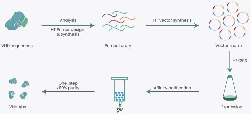 High-throughput (HTP) VHH Expression Platform.