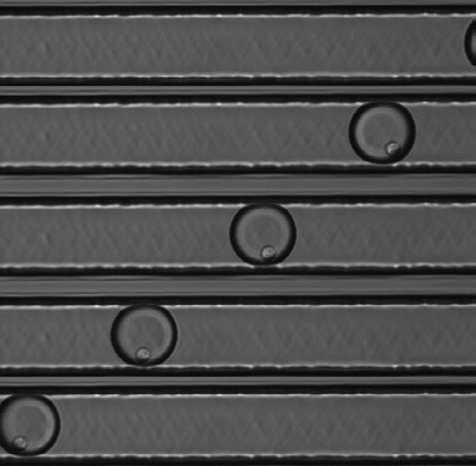 Achieving reliable single cell cloning through advanced microfluidics dispensing