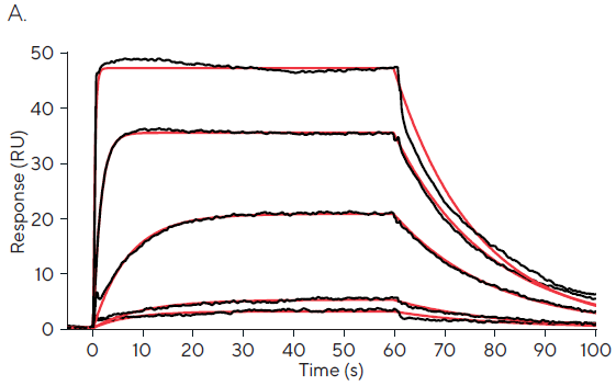 Assessing small molecule kinetics and affinity through SPR screening