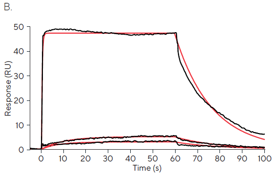 Assessing small molecule kinetics and affinity through SPR screening