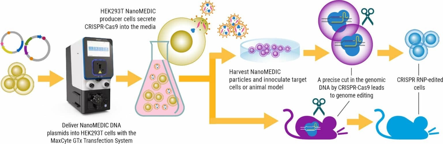 CRISPR-Cas9 for large-scale engineering of extracellular nanoparticles