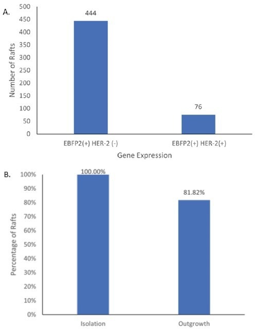 Identifying rare double positive clones