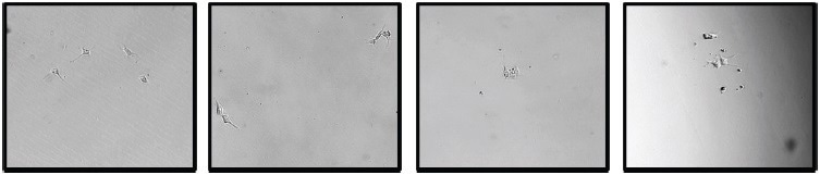 How to make iPSC cloning more efficient?