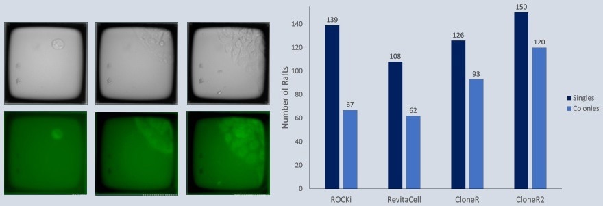 How to accelerate the use of iPSCs in drug development