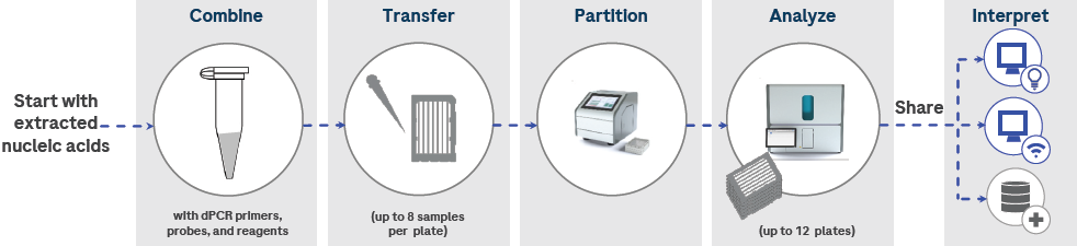 An overview of the Digital LightCycler dPCR System workflow. Extracted nucleic acids are combined with PCR reagents, including primers and probes. The reaction mixture is transferred to partitioning plates and partitioned on the Partitioning Engine. Plates are transferred to the Analyzer and processed with the appropriate cycles. The collected data is then analyzed with Digital LightCycler® software and web applications, and can be shared via LIMS