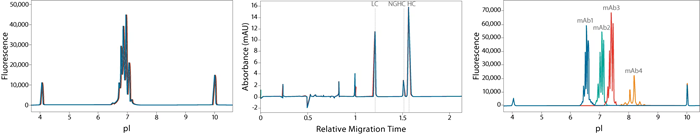 How to easily profile protein samples