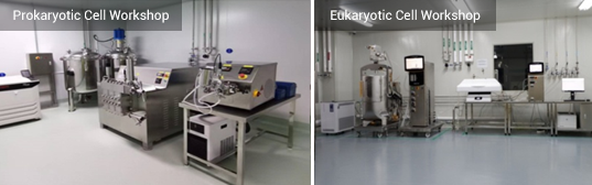 Comprehensive toolkit for advanced CAR-NK cell therapy innovation