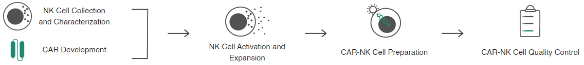 Comprehensive toolkit for advanced CAR-NK cell therapy innovation