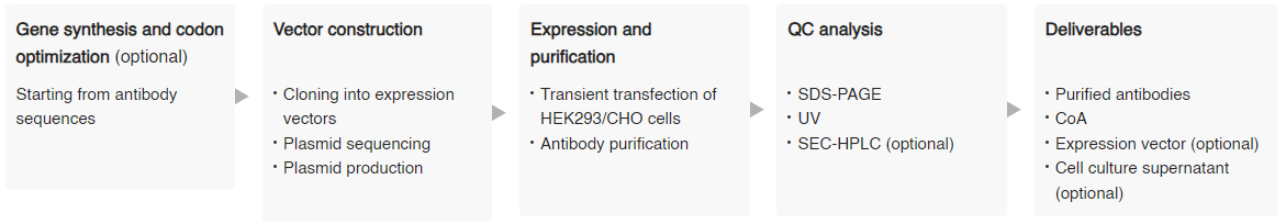 In vitro bioassay services for enhanced antibody drug development: A focus on efficacy evaluation and quality control