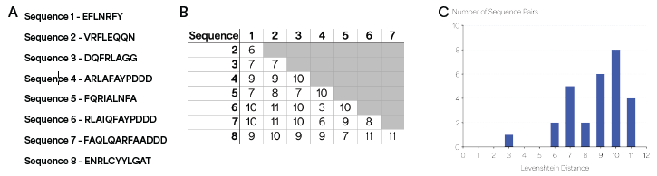 Levenshtein distance analysis of peptide sequences. (A) Sequences of peptides used in the Levenshtein distance analysis. (B) Levenshtein distance values for all pairs of sequences, showing L ≥ 3 for all pairs. (C) Histogram of orthogonal pairwise Levenshtein distances between all members of the barcode set.