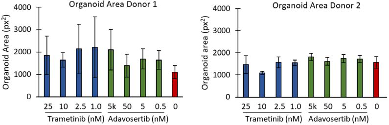 Area of PDOs treated with different concentrations of trametinib or adavosertib, compared to untreated controls. Plates were seeded with PDOs from one of two different donors. Bars are mean ± SD.