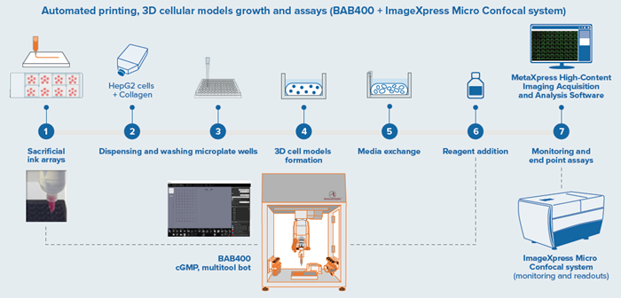 BAB400 3D printing and dispensing workflow integrated with Imager for endpoint assays.