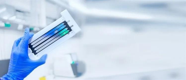 Image Credit: Elpisterra/Shutterstock.com