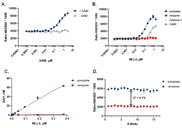 MLL4 Enzyme Activity