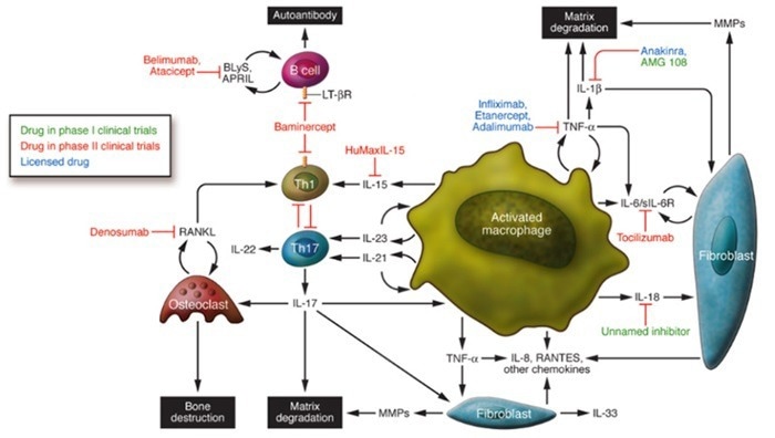 Rheumatoid Arthritis.