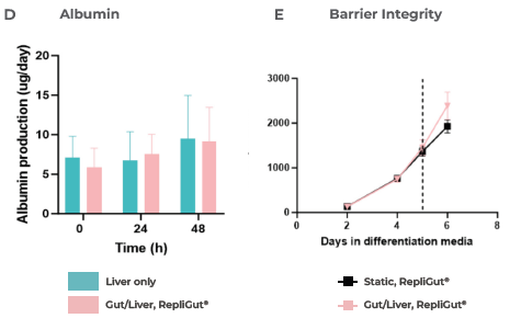 Liver and gut functionality markers are maintained throughout the primary cell Gut/Liver co-culture