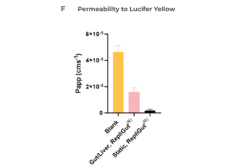 Liver and gut functionality markers are maintained throughout the primary cell Gut/Liver co-culture