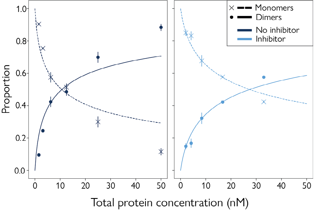Characterization of protein oligomerization with and without an inhibitor