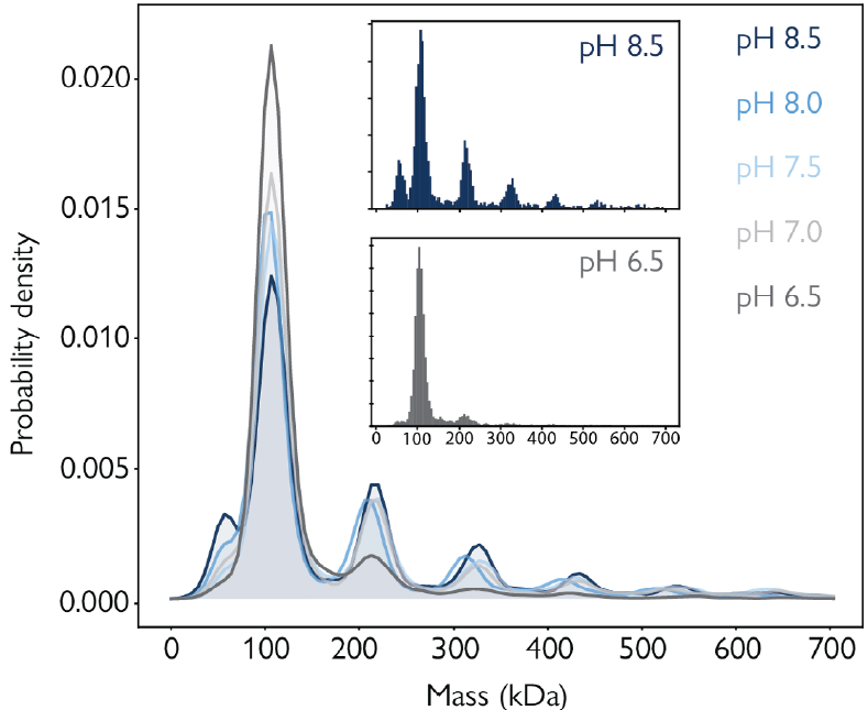 Studying protein oligomerization with automated mass photometry