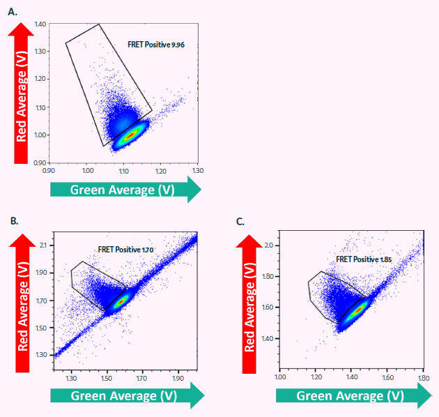 Cyto-Cellect®PLUS used for enrichment and single cell dispensing of IgG secreting CHO cells in Cyto-Mine®. (A) CHO cells, secreting IgG4κ were resuspended in Encapsulation Medium containing Cyto-Cellect®PLUS FRET probes and loaded onto Cyto-Mine®. Cells were incubated for 2 hours and dispensed as single cells into microtiter plates. (B-C) CHO cells, secreting IgG1λ were resuspended in Encapsulation Medium containing Cyto-Cellect®PLUS FRET probes and loaded onto Cyto-Mine®. Cells were incubated for 2.5 hours and dispensed as either (B) pool of cells or (C) single cells, into microtiter plates.