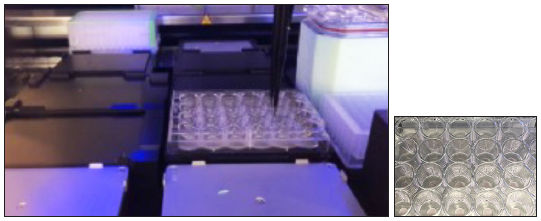 3D intestinal organoid culture automation using an automated cell culture system