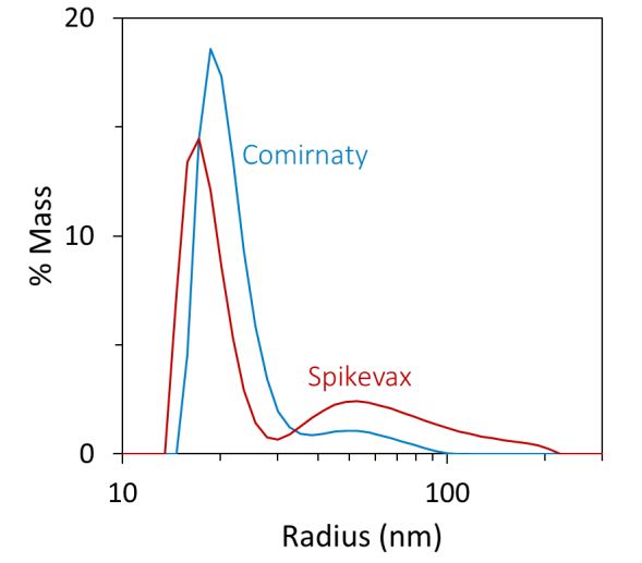 Batch DLS autocorrelation functions (top) and the corresponding size distributions from regularization analysis (bottom) of the Spikevax (red) and Comirnaty (blue) bivalent LNP-mRNA COVID-19 vaccines.