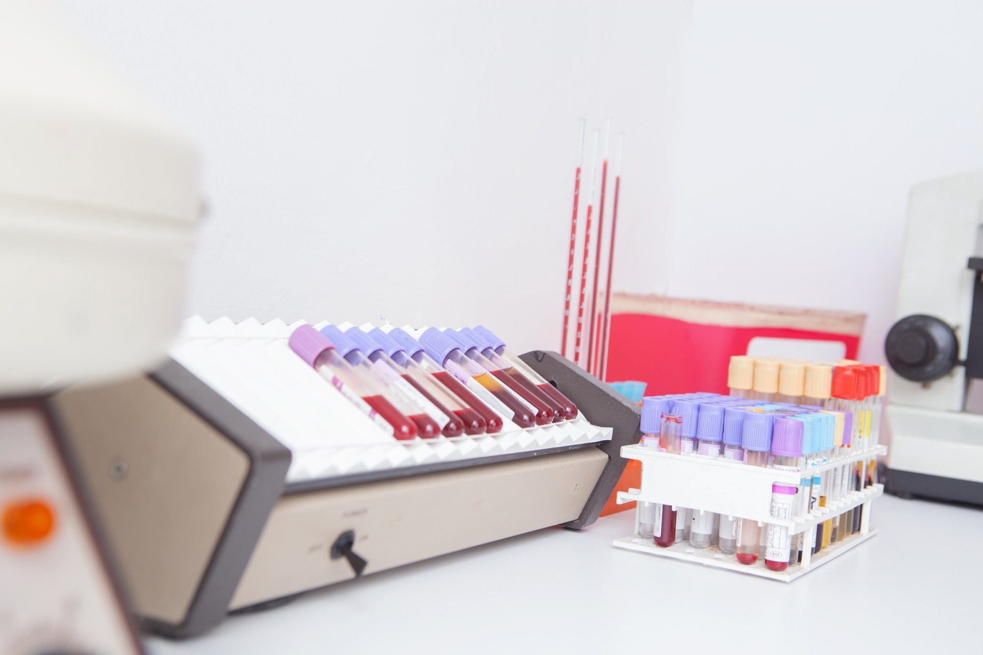 Image Credit: Yuls26/Shutterstock