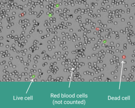 Selecting the right viability assay
