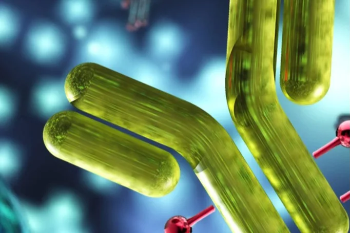 What are the safety considerations in developing ADCs?