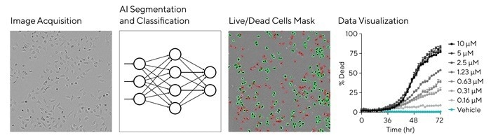 How AI is transforming cell viability and health assessments